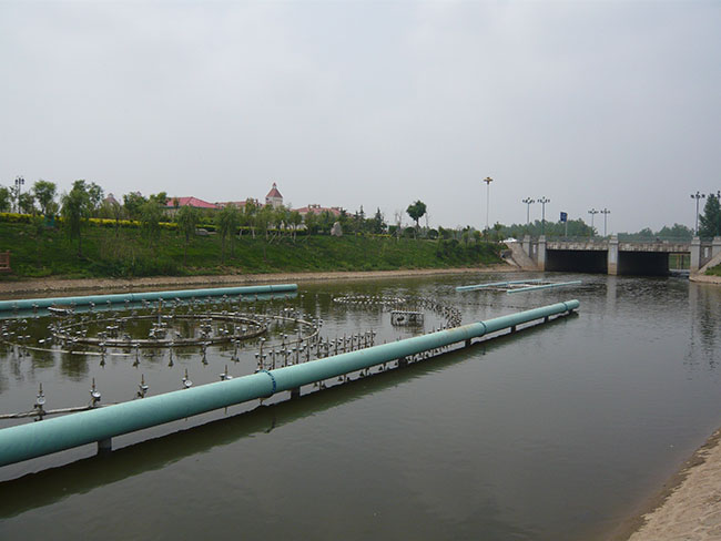 ���Ư��ʽ��Ȫ