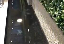 ����Ȫҕ�l����