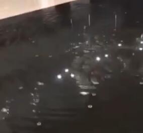 ����Ȫҕ�l����